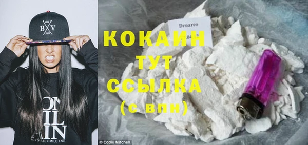 мдпв Белокуриха