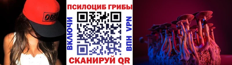 Псилоцибиновые грибы ЛСД  где купить наркотик  гидра сайт  Ялуторовск 